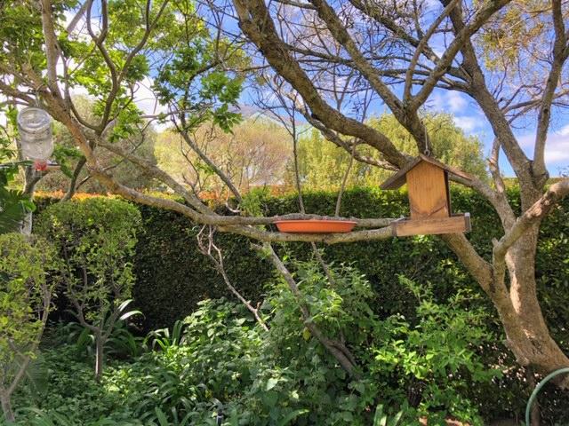 To Let 4 Bedroom Property for Rent in Hout Bay Western Cape